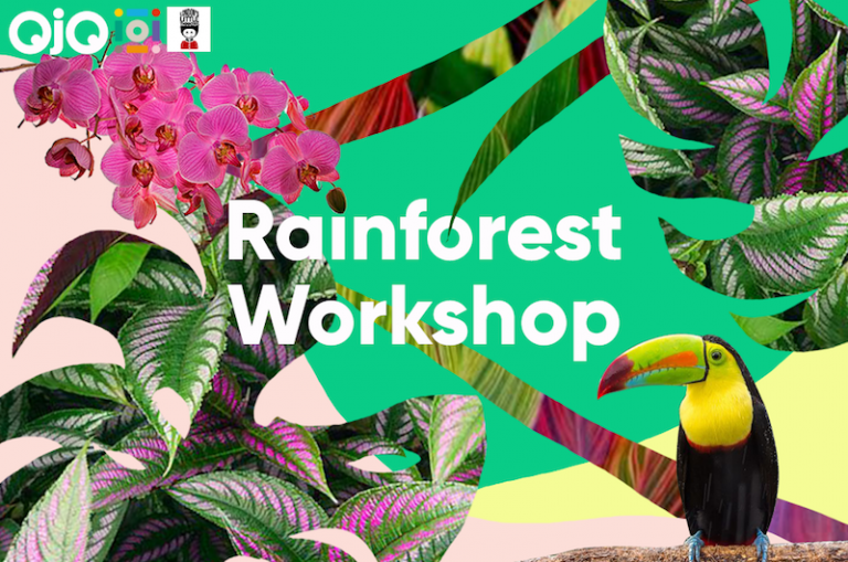 rainforest-collage-landscape - Institute of Imagination